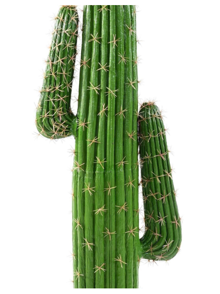 Cactus "Mexico"- Hauteur 138 cm