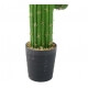 Cactus "Mexico"- Hauteur 138 cm