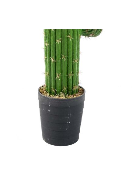 Cactus "Mexico"- Hauteur 138 cm