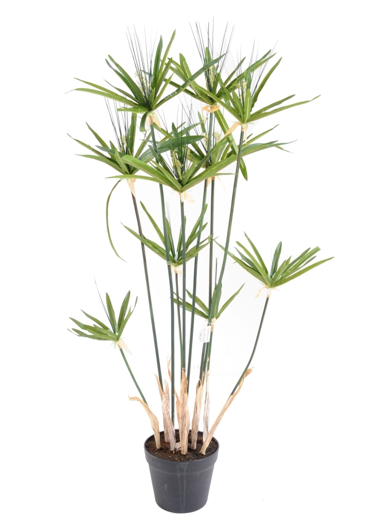 Papyrus artificiel Alternifolius - 4 tailles au choix