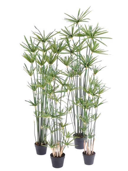 Papyrus artificiel Alternifolius - 4 tailles au choix