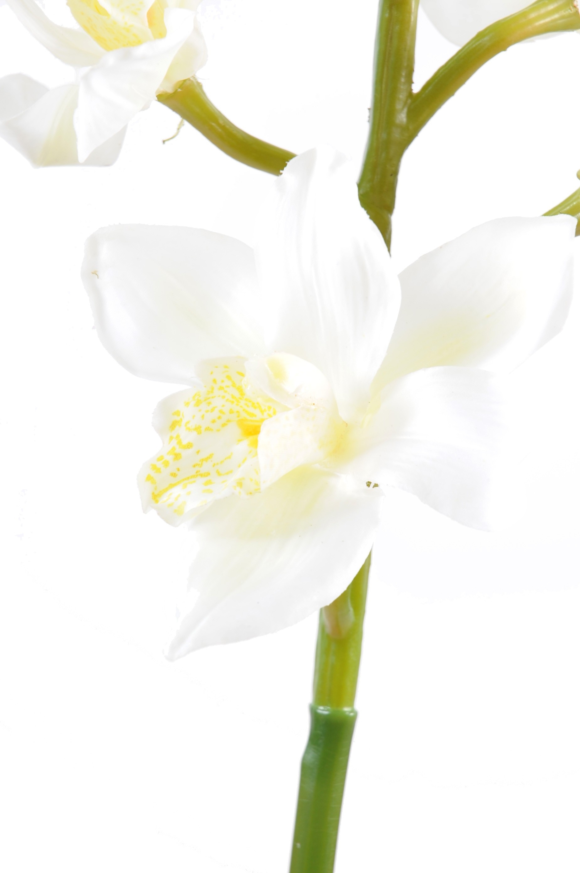 Orchidée Artificielle Cymbidium VidaXL - 100cm Avec Pot - Décoration Maison Bureau