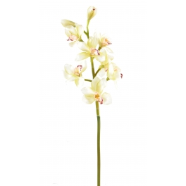 Orchid&eacute;e Cymbidium artificielle 100 cm Crème