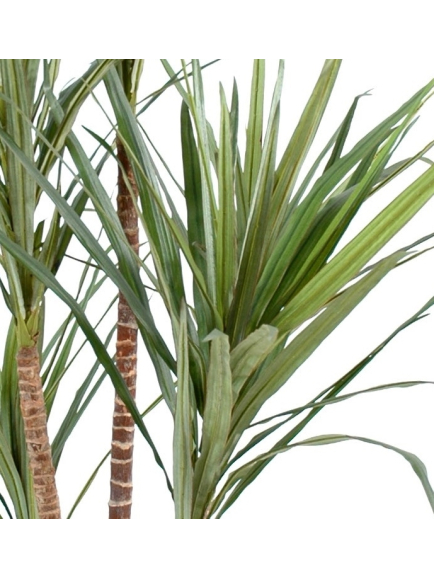 Dracaena artificiel Marginata