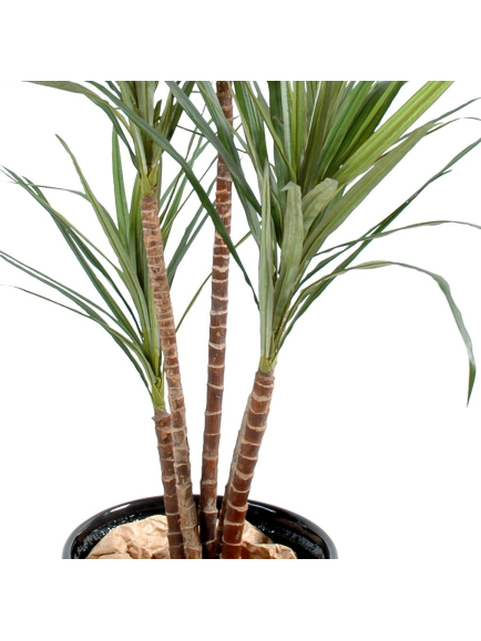 Dracaena artificiel Marginata
