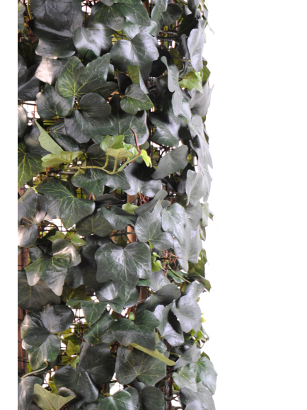 Lierre artificiel Gala UV résistant 185 cm