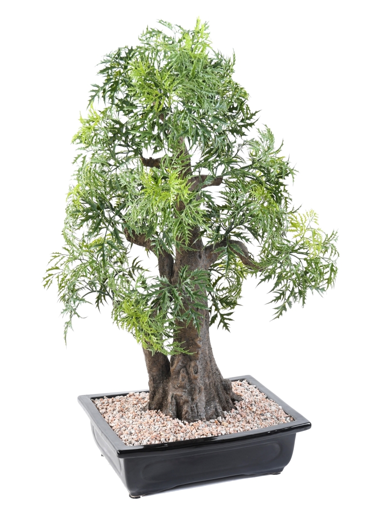 Bonsaï artificiel aralia - 80 cm