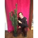 Cactus artificiel Finger - 75 cm - 150 cm et 185 cm
