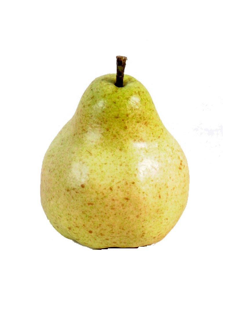 Poire artificielle vendues par 12