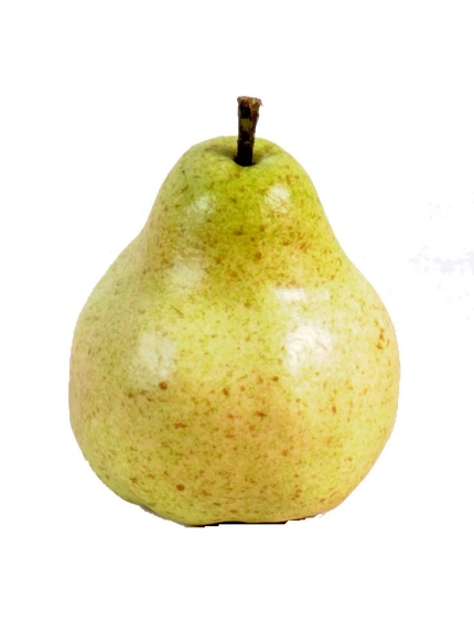 Poire artificielle vendues par 12
