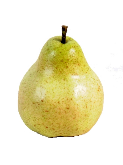 Poire artificielle vendues par 12