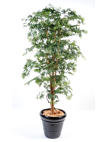 Aralia new erable artificiel