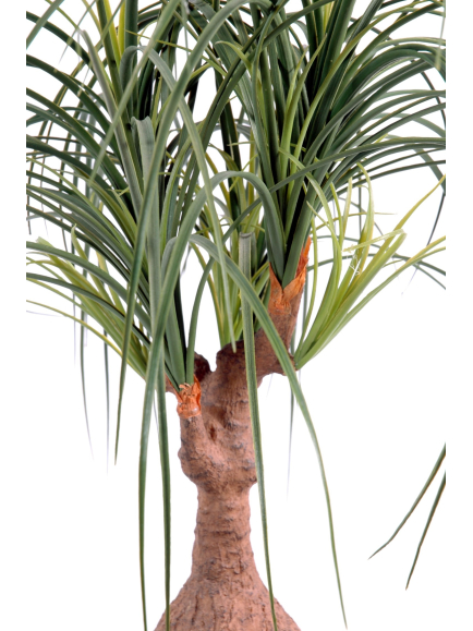 beaucarnéa artificiel 75 cm