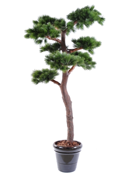 Pin Bonsai UV résistant 220 cm