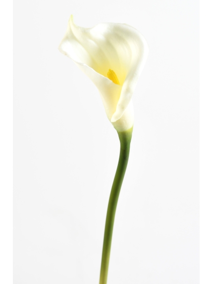 Arome artificiel en latex