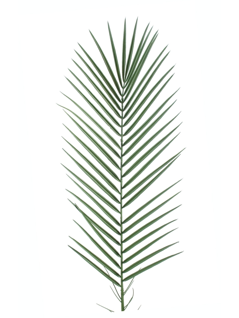 Palmes Phoenix artificielles