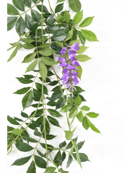 Glycine artificielle guirlande