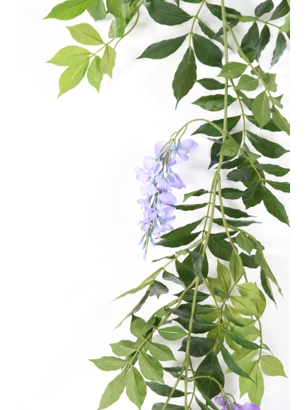 Glycine artificielle guirlande