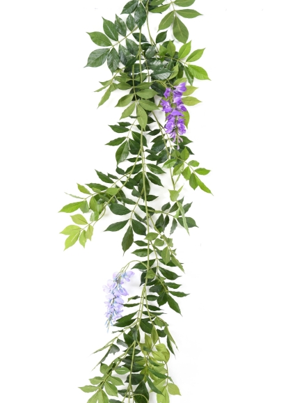 Glycine artificielle guirlande
