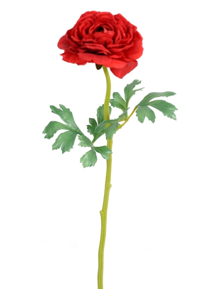 Renoncules artificielles Singles