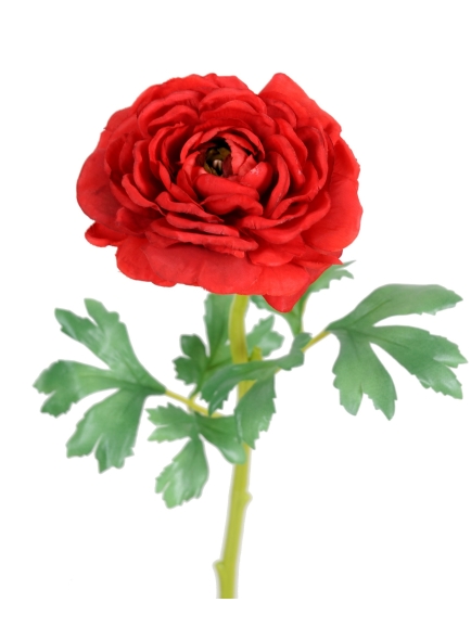 Renoncules artificielles Singles