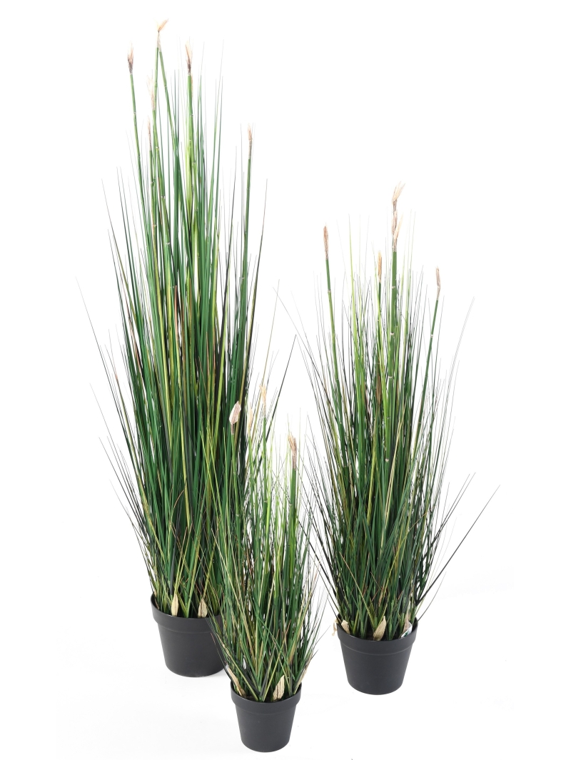 Presles Grass artificielles
