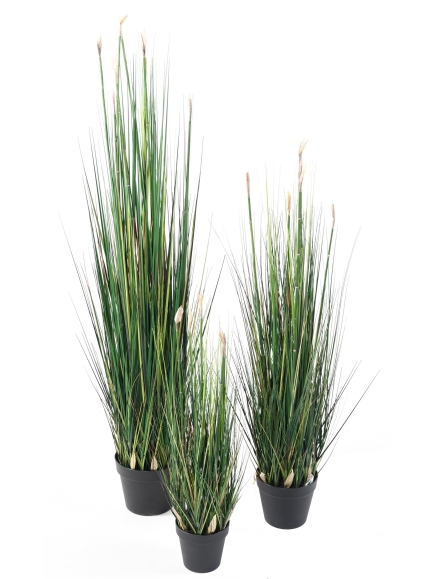 Presles Grass artificielles