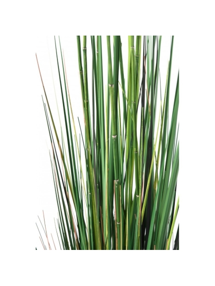 Presles Grass artificielles