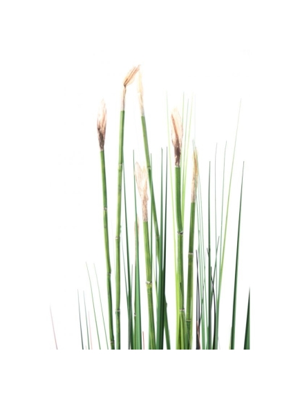 Presles Grass artificielles