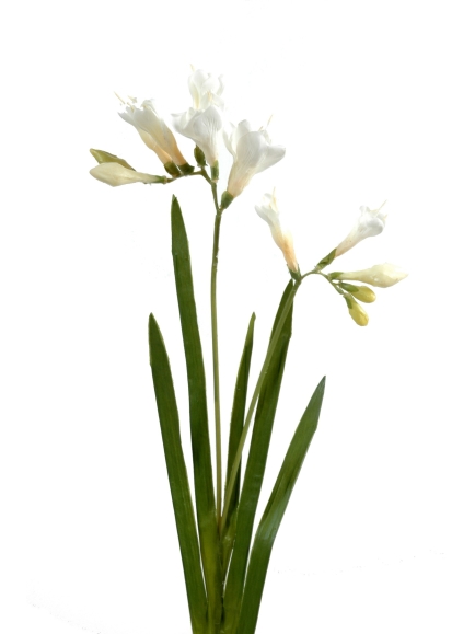 Freesia artificel Large