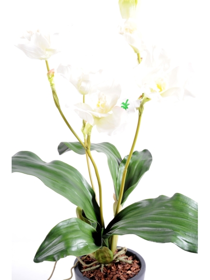 Orchidée artificielle Lycaste