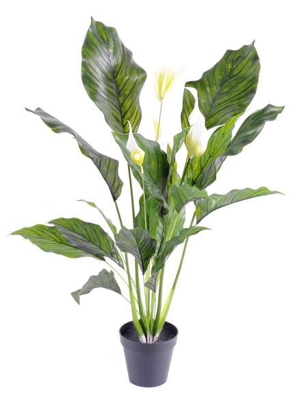 pathiphylium artificiel