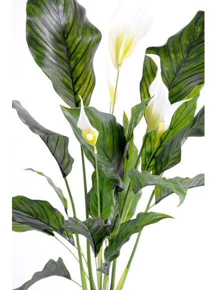 pathiphylium artificiel