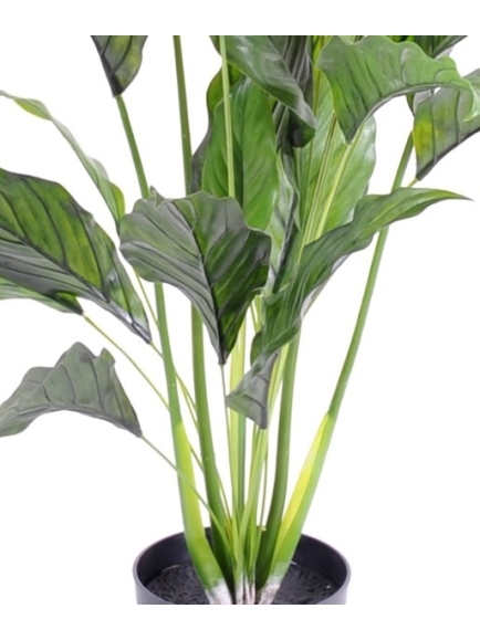 pathiphylium artificiel