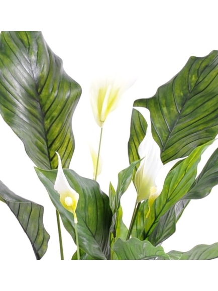 pathiphylium artificiel