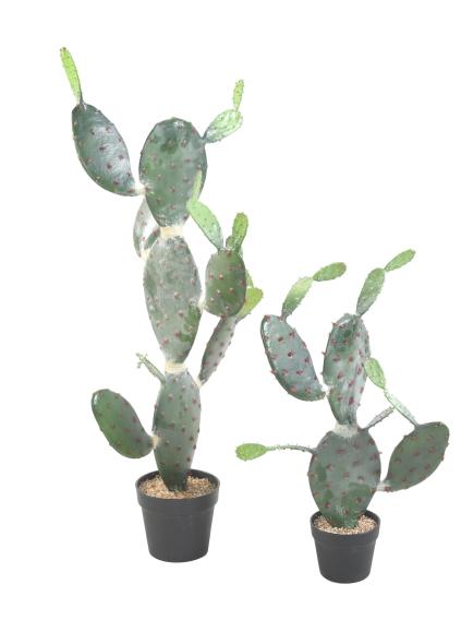 Cactus artificiel Opuntia