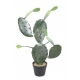 Cactus artificiel Opuntia