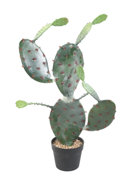 Cactus artificiel Opuntia