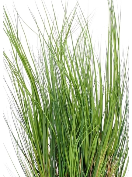Graminé herbe artificielle Honey