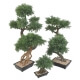 Bonsaï artificiel Juniperus en coupe