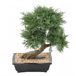 Bonsa&iuml; artificiel Juniperus en coupe 55 CM
