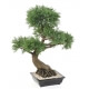 Bonsa&iuml; artificiel Juniperus en coupe 100 CM