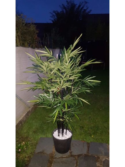 Bambou artificiel black cannes naturelles 145 et 175 cm
