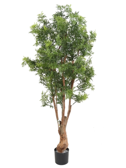 Aralia artificiel Ming Nitida TN UVl