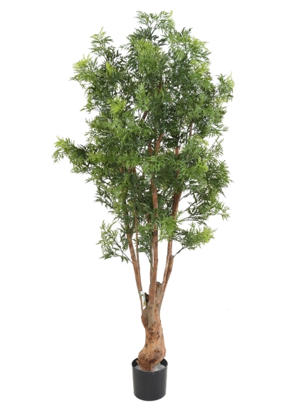 Aralia artificiel Ming Nitida TN UVl