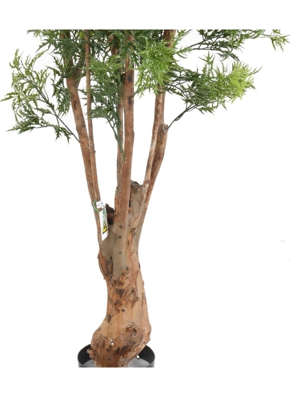 Aralia artificiel Ming Nitida TN UVl