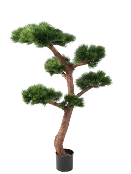 Pin Bonsai UV résistant 220 cm