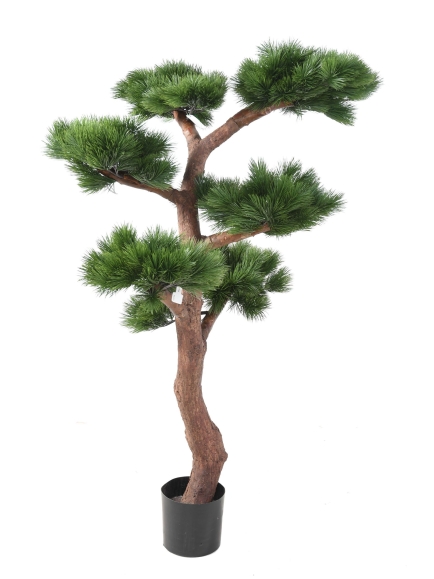 Pin Bonsai UV résistant 220 cm