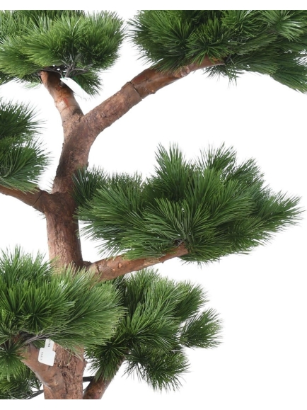 Pin Bonsai UV résistant 220 cm