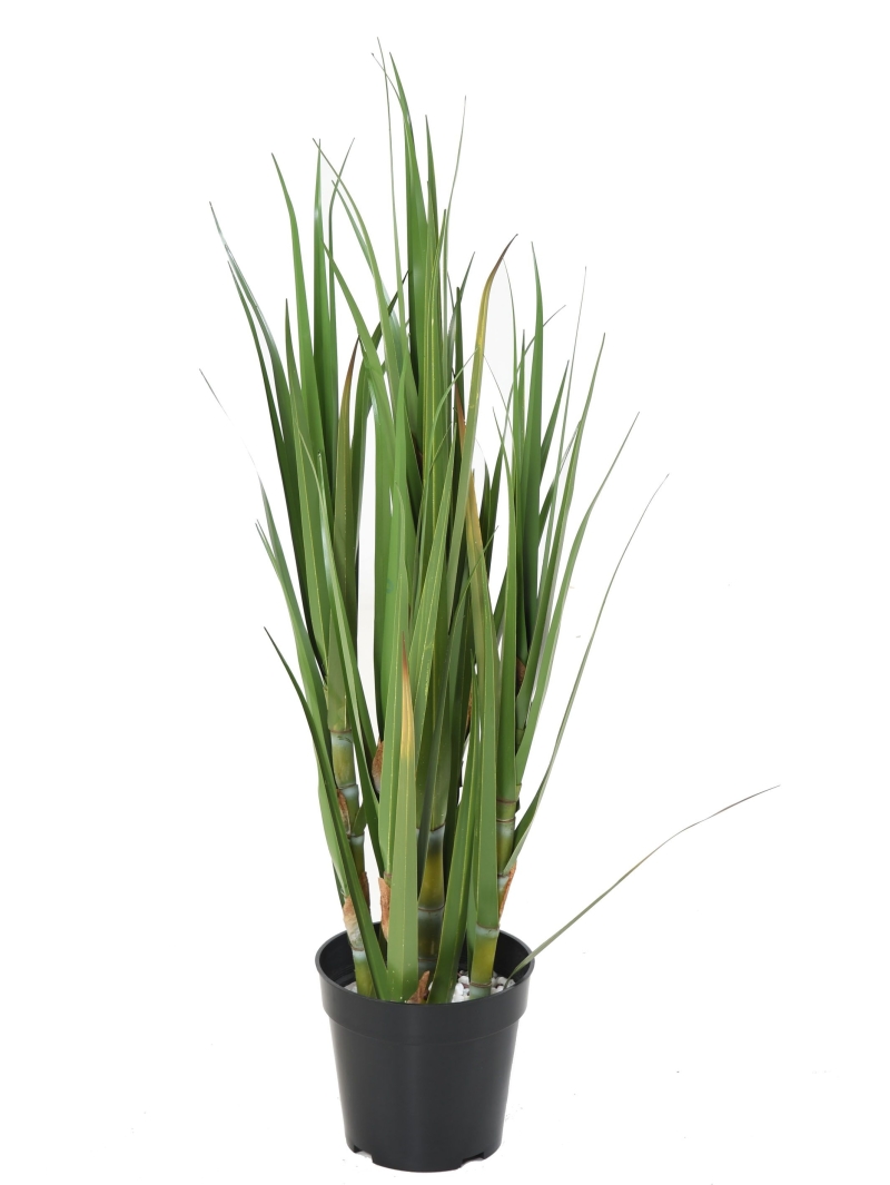 Canne à sucre artificielle